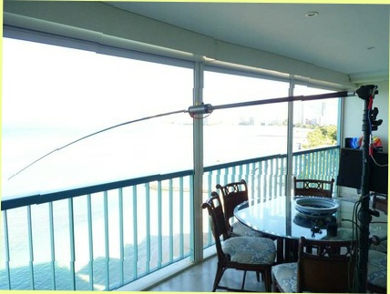 Downloading picure of Buddipole on Balcony at Sans Souci, Oahu, Hawaii